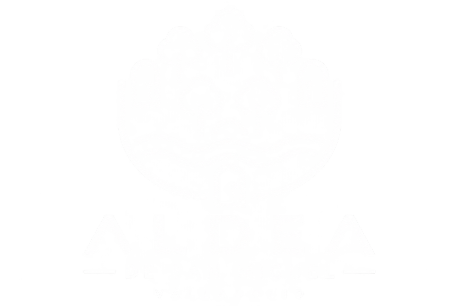 Ayto. Aldea de San Miguel