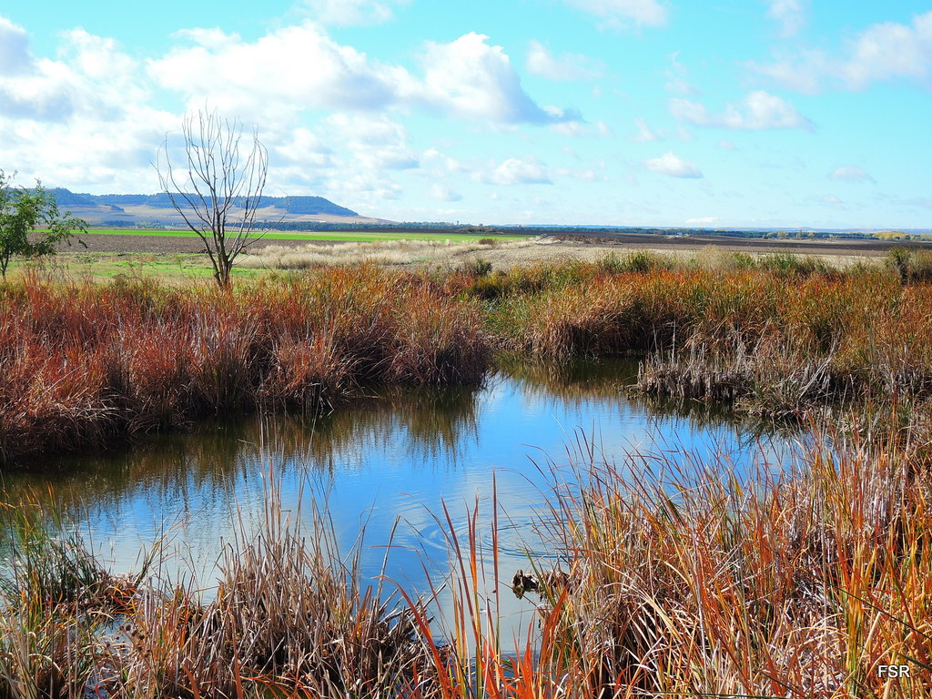 Naturaleza y Biodiversidad